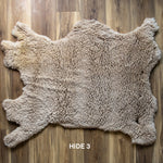 Targhee Sheep Hide
