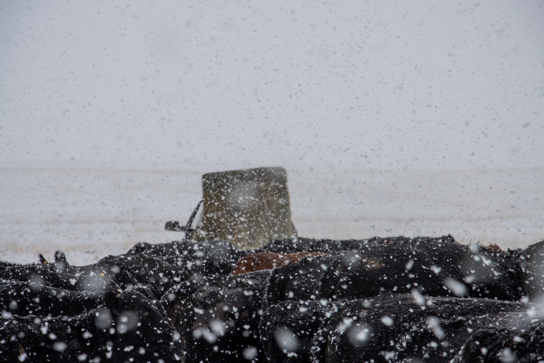 J Bar L: Behind The Scenes, Winter On The Ground