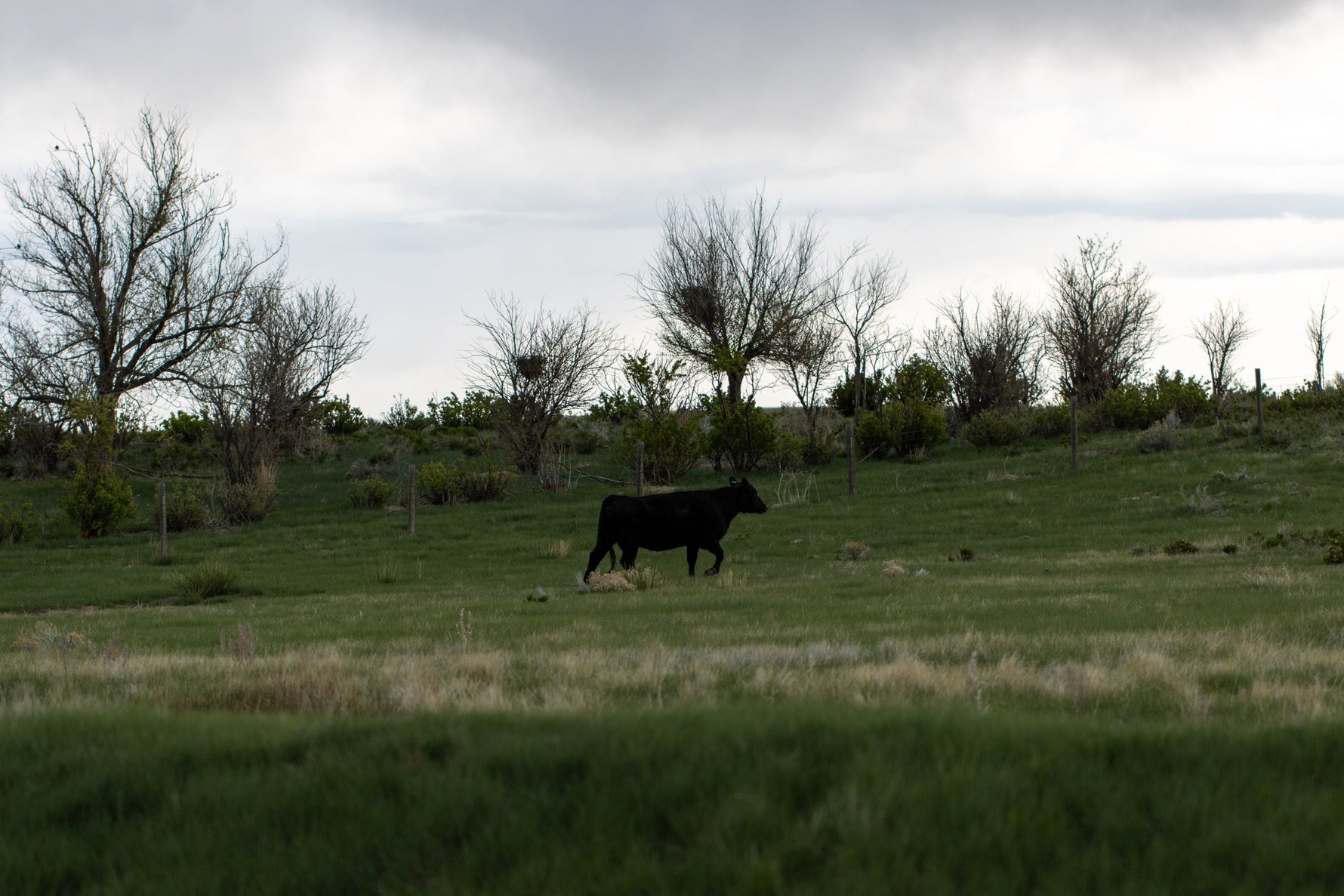 From Ranch to Jar: Our Intentional Approach to Skincare