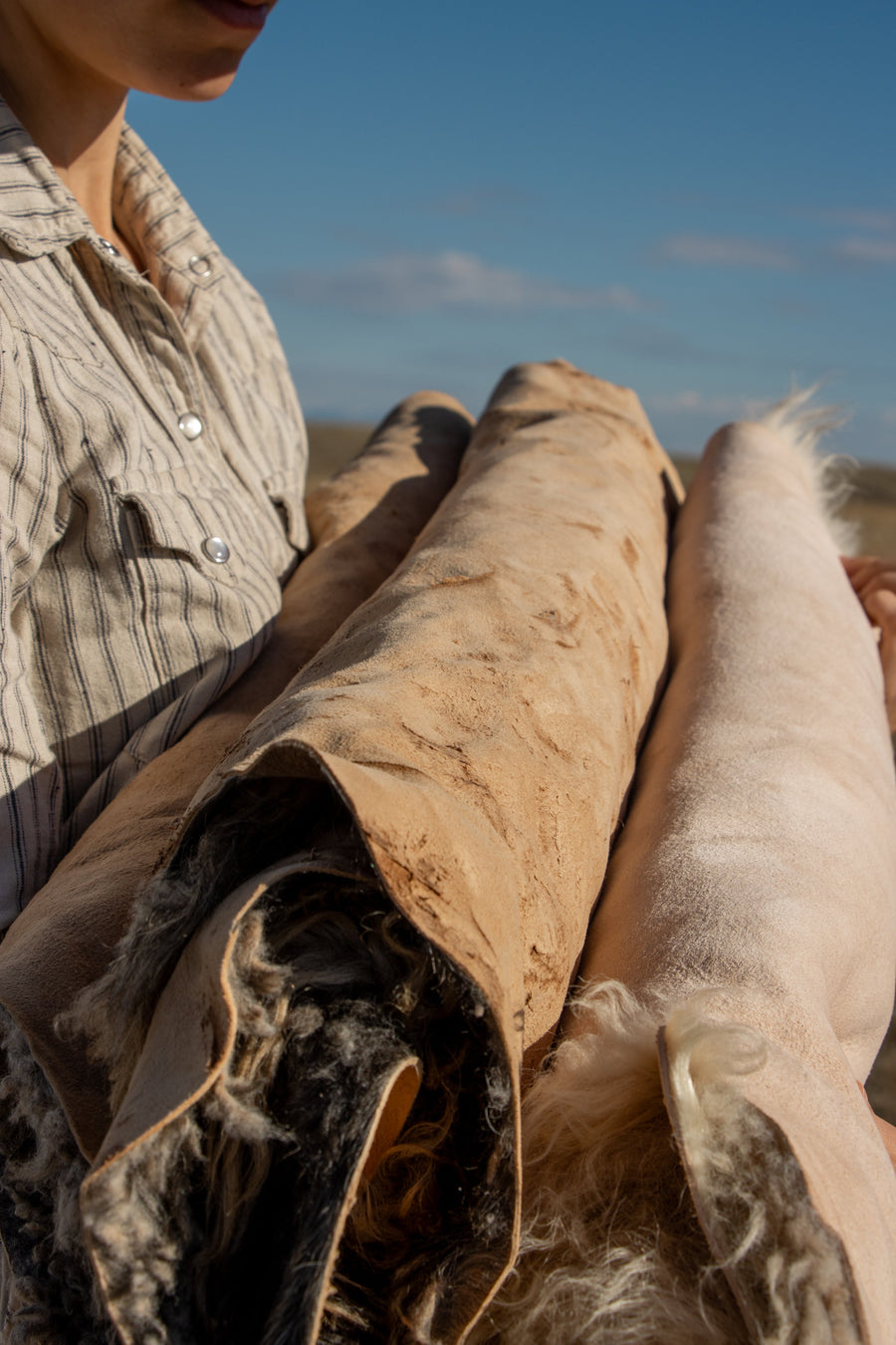 Caring For Your Icelandic Sheep Hide
