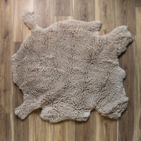 Targhee Sheep Hide