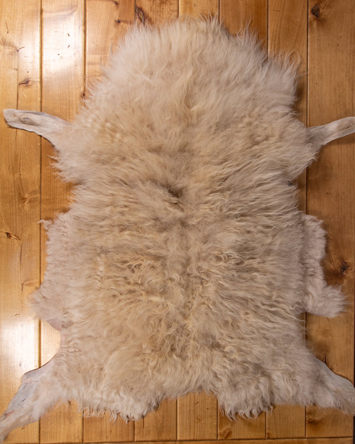 Icelandic Hide - Nimbus